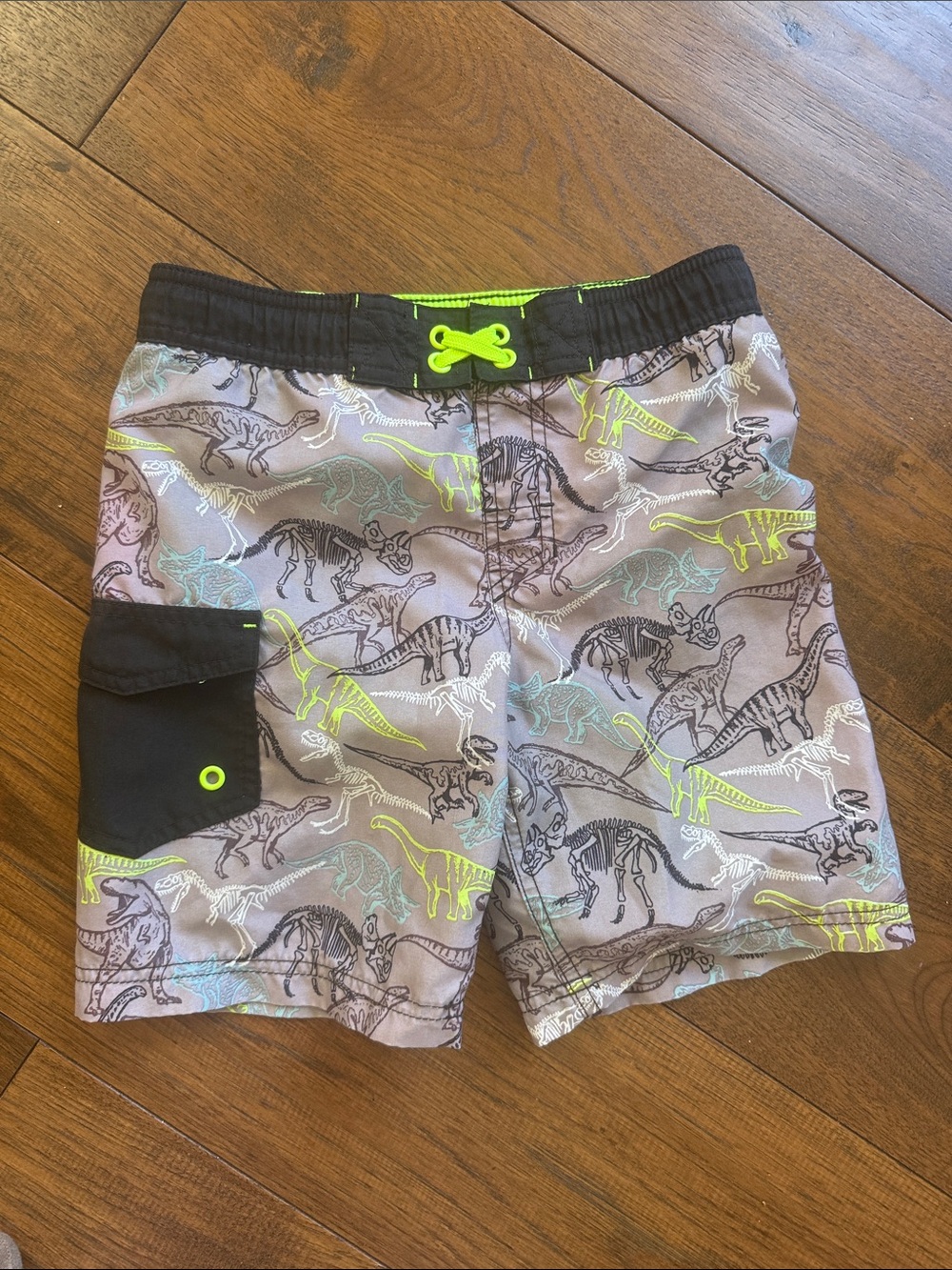 Dinosaur Swim Shorts neon